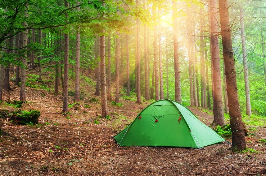 green tent in spring forest