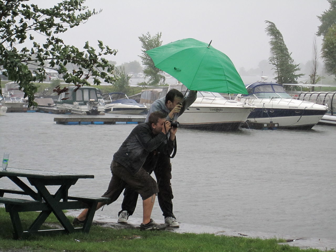 people struggling with umbrella in storm