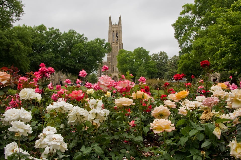 Duke Chapel in Durham, North Carolina with the rose garden in the foreground