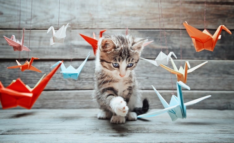 kitten is playing with colorful paper cranes