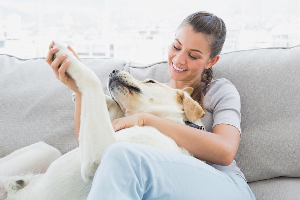 woman petting her yellow labrador on the couch