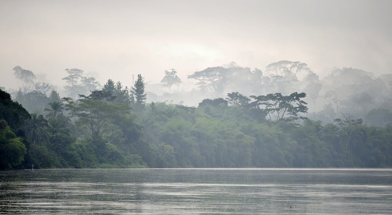 Morning fog on the African river Sangha. Congo. Africa