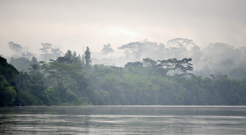 Morning fog on the African river Sangha. Congo. Africa