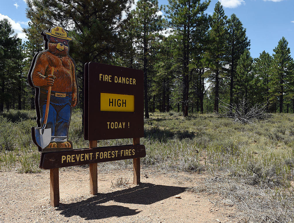 smokey the bear