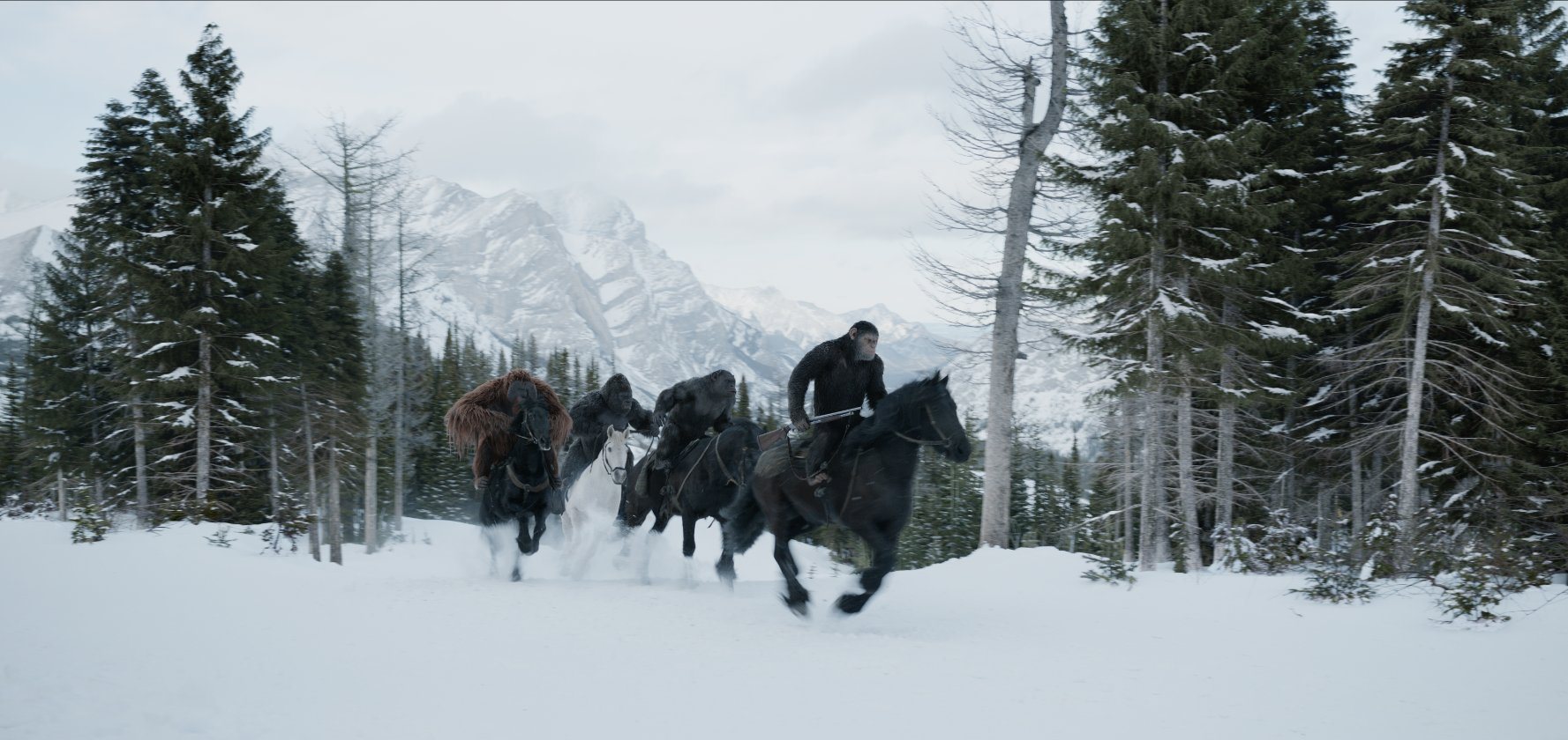 Men and apes riding horses through the snow