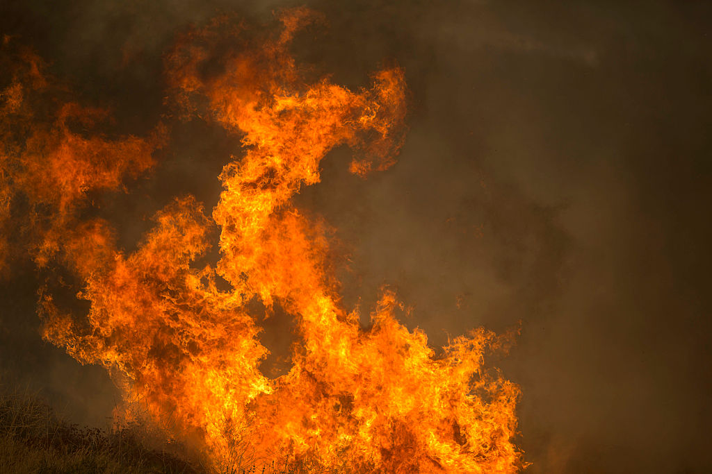 wildfire
