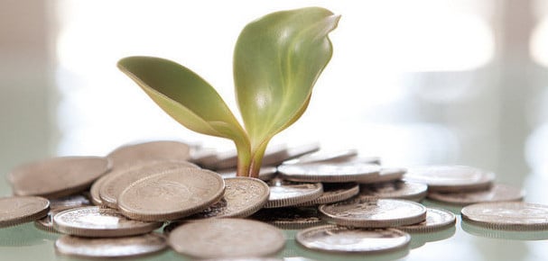 Plant Money