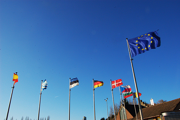 European Union Flag
