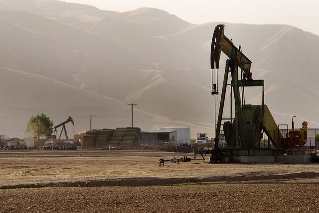 Oil