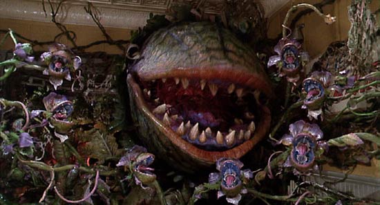 Little Shop of Horrors