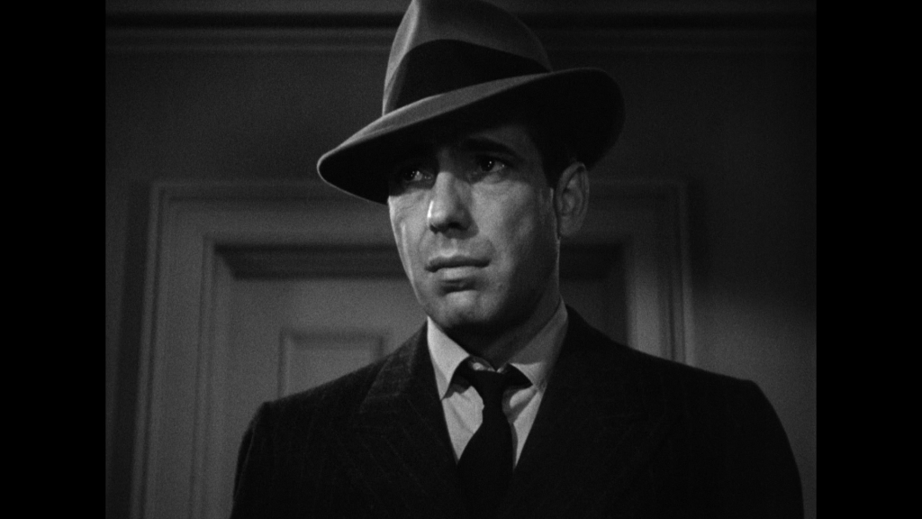 Maltese Falcon