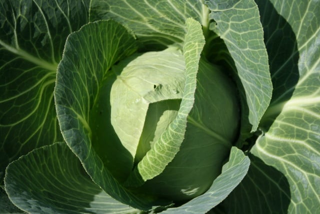 Source: http://ko.fotopedia.com/items/flickr-2645828110