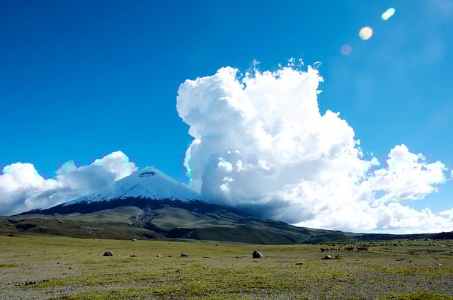 Source: http://www.flickr.com/photos/amash/
