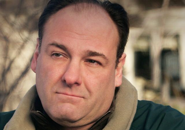 source: http://www.hbo.com/the-sopranos#/the-sopranos/cast-and-crew/tony-soprano/index.html