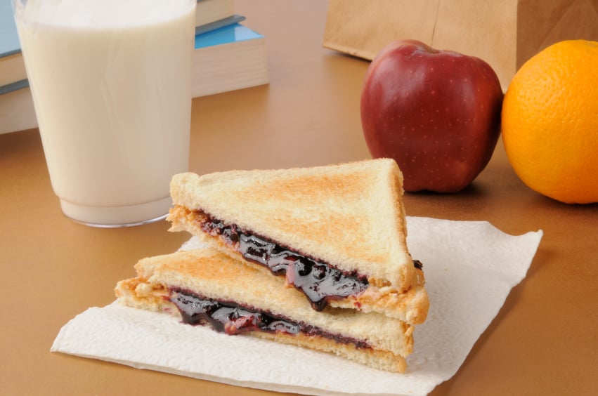 Peanut Butter and Jelly Sandwich