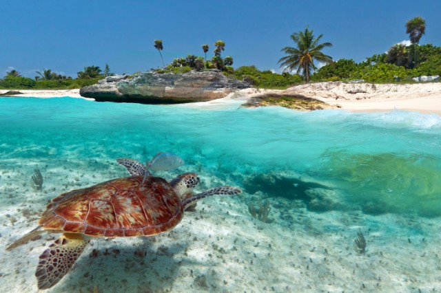 Source: Thinkstock