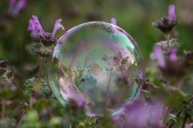 Source: Thinkstock