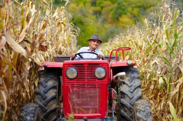 Source: Thinkstock