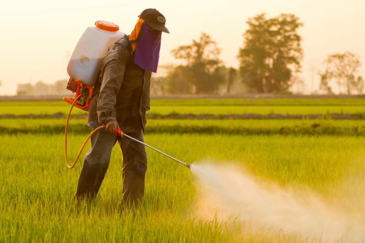 farmer spraying the fields with pesticides