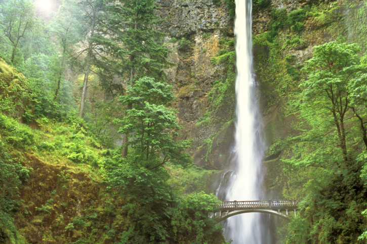 Source: Thinkstock