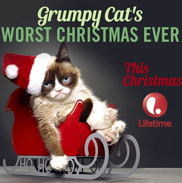 Grumpy Cat Gets a Lifetime Movie, and Hates It