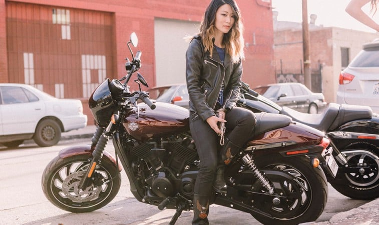 harley 500