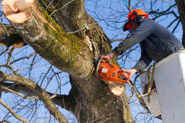 Source: Thinkstock