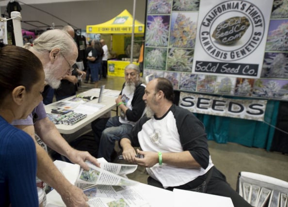 Seed growers at a marijuana farmer's market