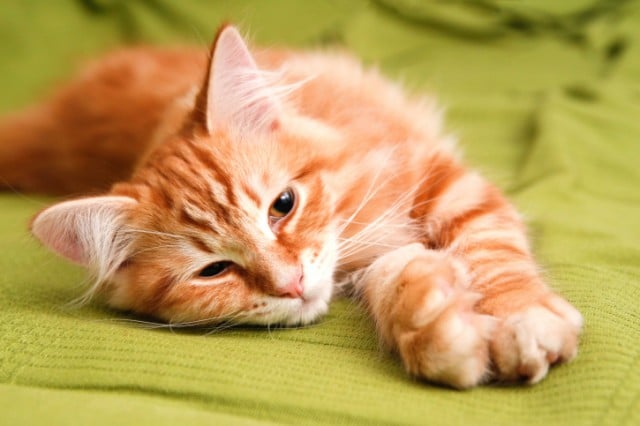 Source: Thinkstock