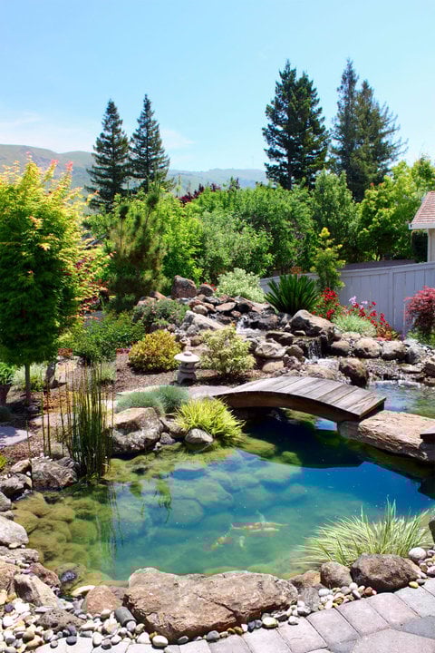Backyard design ideas