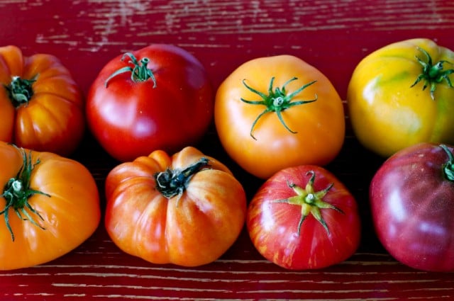 Tomatoes