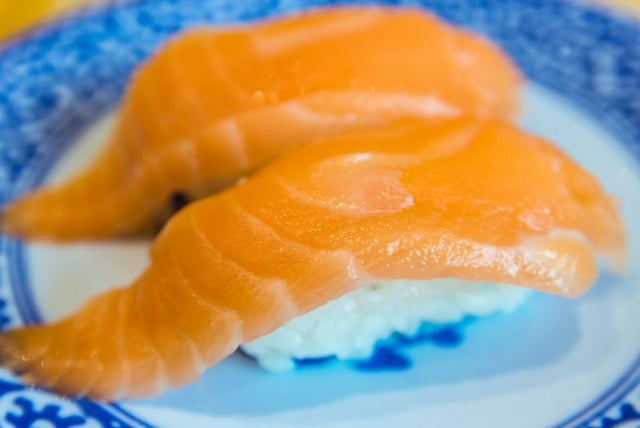 Salmon nigiri sushi