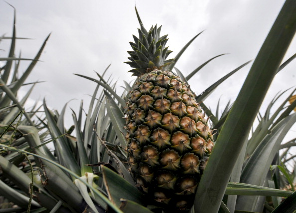 pineapple