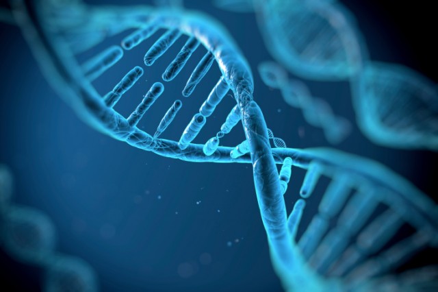 genetics, DNA