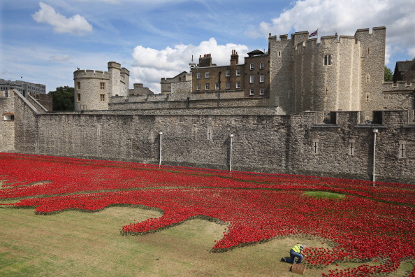 Dan Kitwood/Getty Images