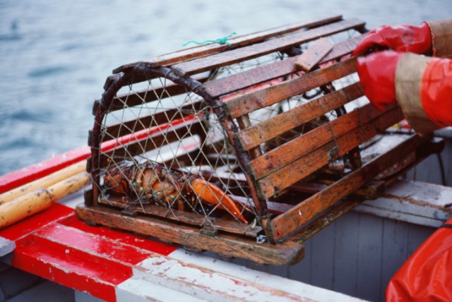 Source: Thinkstock