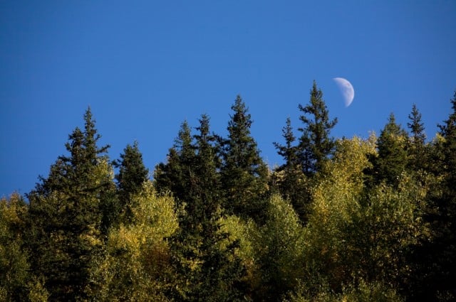 Source: iStock