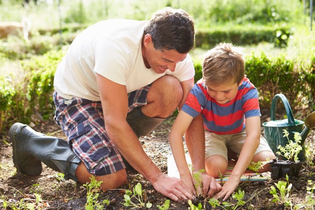 Source: iStock