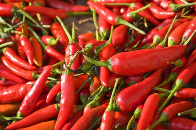 hot peppers