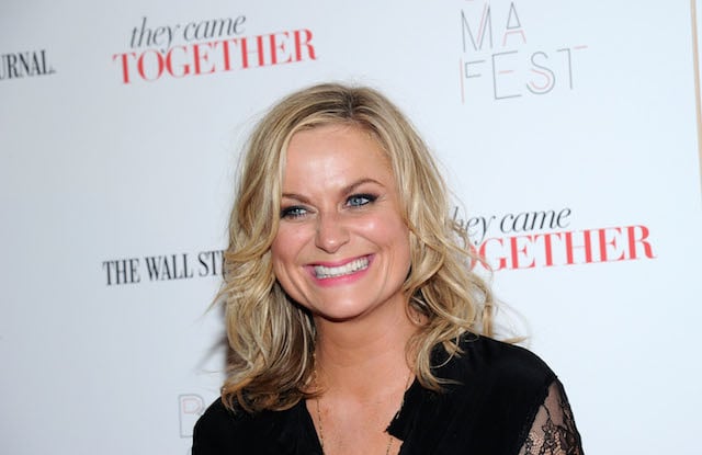 Amy Poehler's net worth is through the roof.