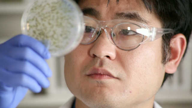 Isaac Yonemoto Project Marilyn cancer research