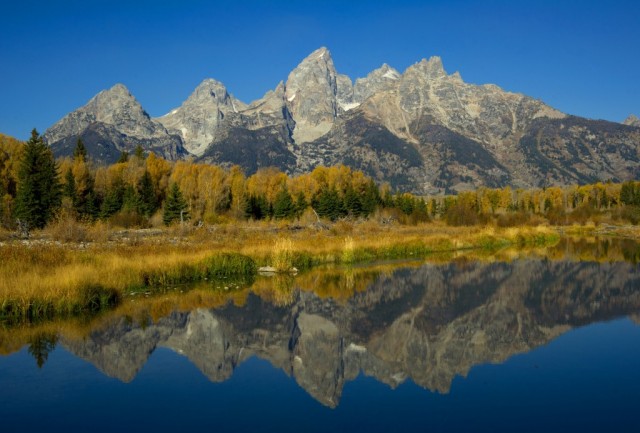 Source: Karen Bleier/Getty Images