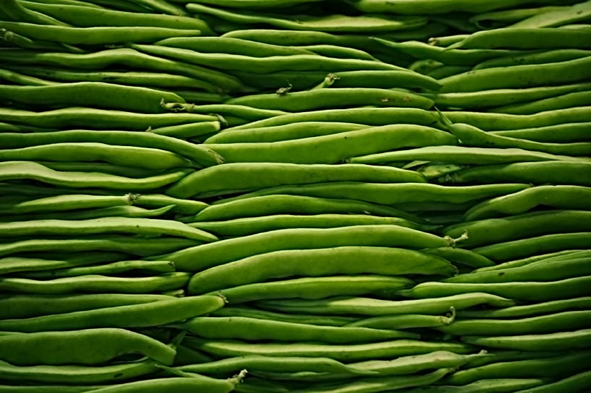 Green beans, haircots verts