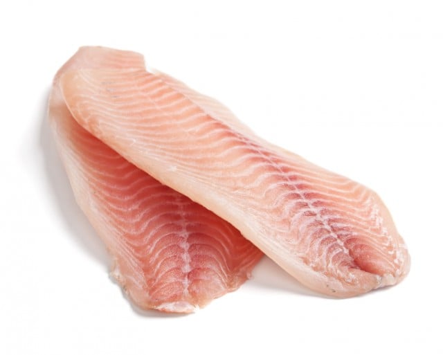 tilapia filets
