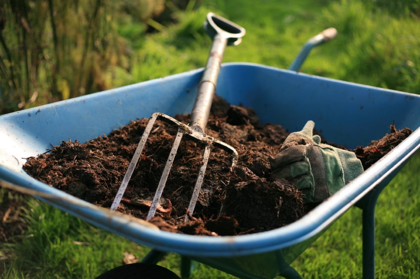 wheelbarrow with dirt and rake