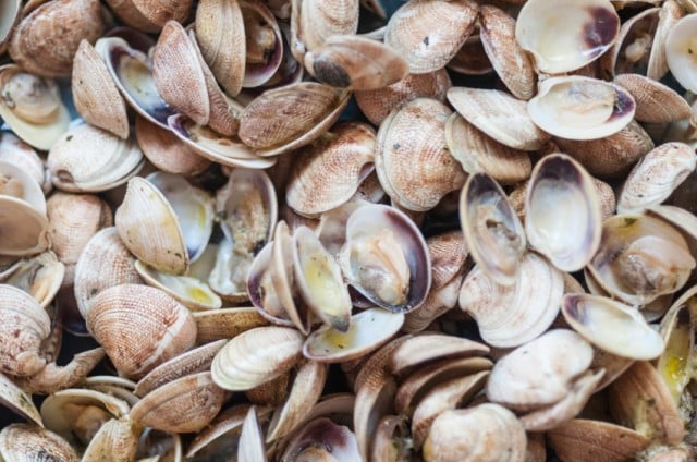 Source: iStock