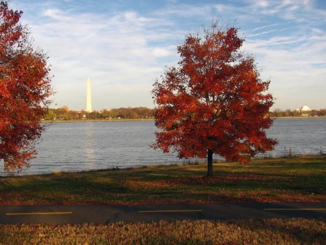 George Washington Memorial Parkway | Source: National Park Service