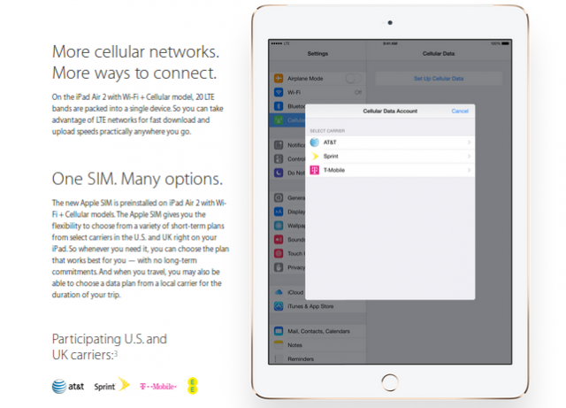 Apple SIM