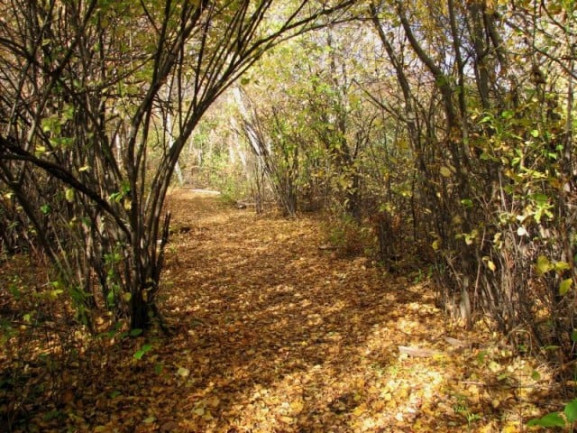 Gateway National Recreation Area | Source: National Park Service