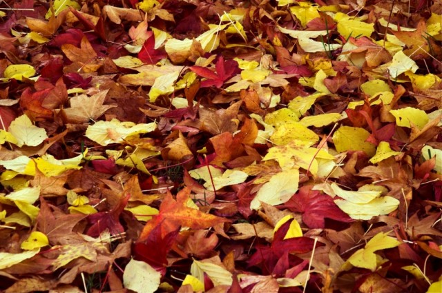 Source: iStock